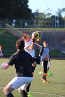 IMG_5184
